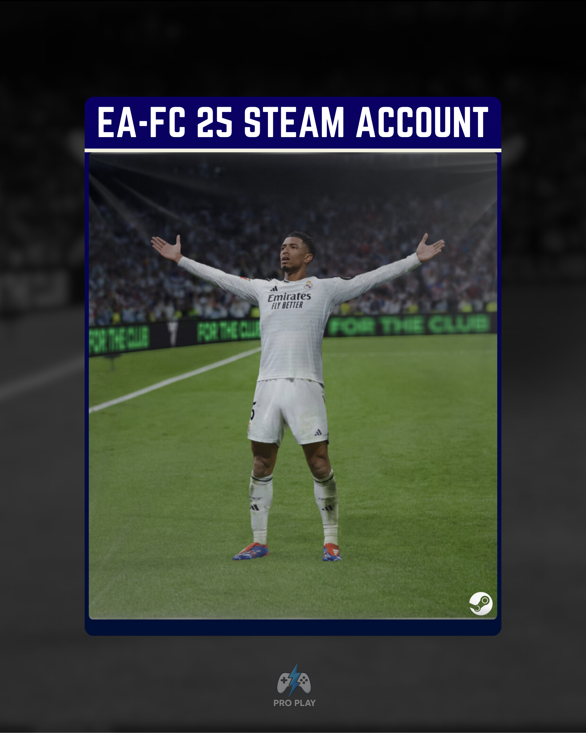 EA-FC 25 Steam Account